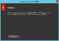 Windows Server 2016、2019顯示啟用Flash